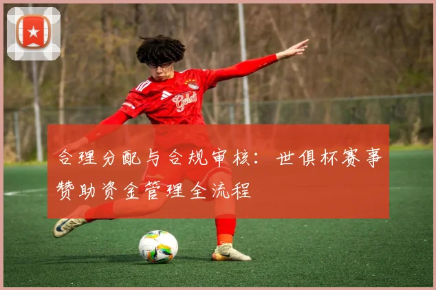 合理分配与合规审核：世俱杯赛事赞助资金管理全流程