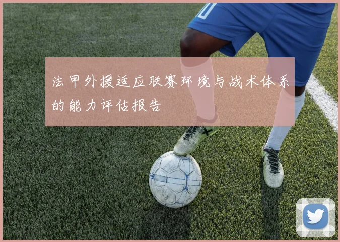 法甲外援适应联赛环境与战术体系的能力评估报告