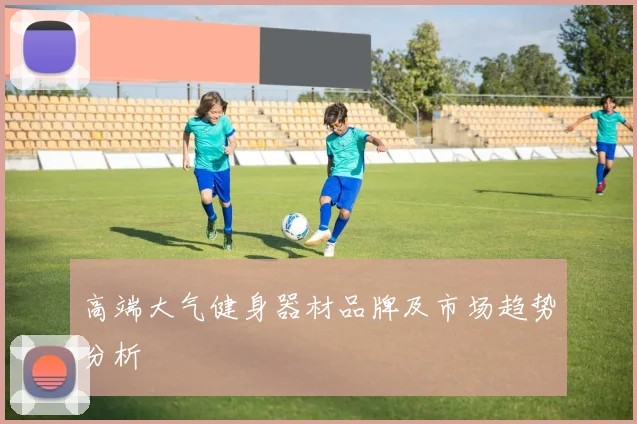 高端大气健身器材品牌及市场趋势分析